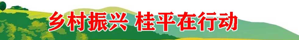 乡村振兴 桂平在行动