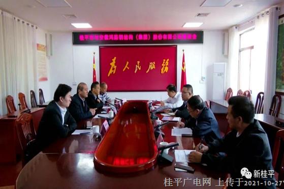 桂平市与安徽鸿路钢结构（集团）股份有限公司举行座谈会