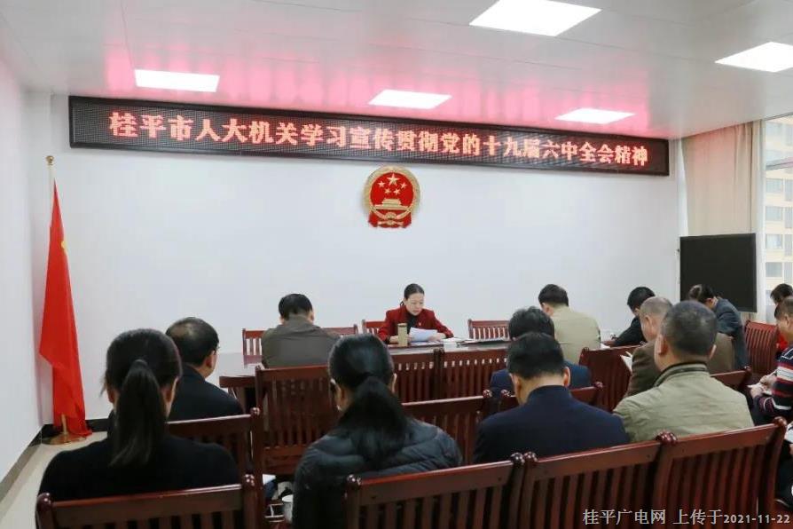 桂平市人大常委会机关专题学习党的十九届六中全会精神