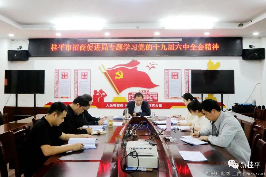 桂平市招商促进局党支部专题学习党的十九届六中全会精神