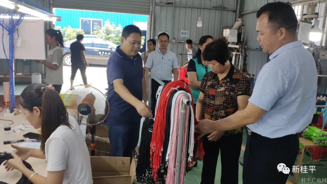 古雄莲到中沙镇调研