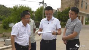 副市长徐旭到桂平市南区部分乡镇调研乡村风貌精品屯及桂平市农业科技园建设