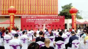 桂平市三浔记年产万吨米粉生产线竣工投产