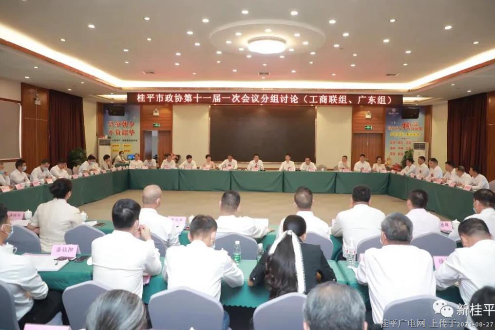 韦庆强参加桂平市政协十一届一次会议联组讨论
