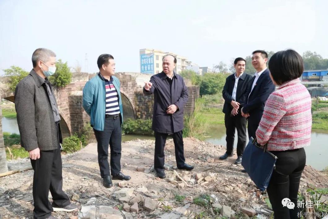 罗冠荣到桂平市大洋镇开展文旅振兴工作调研