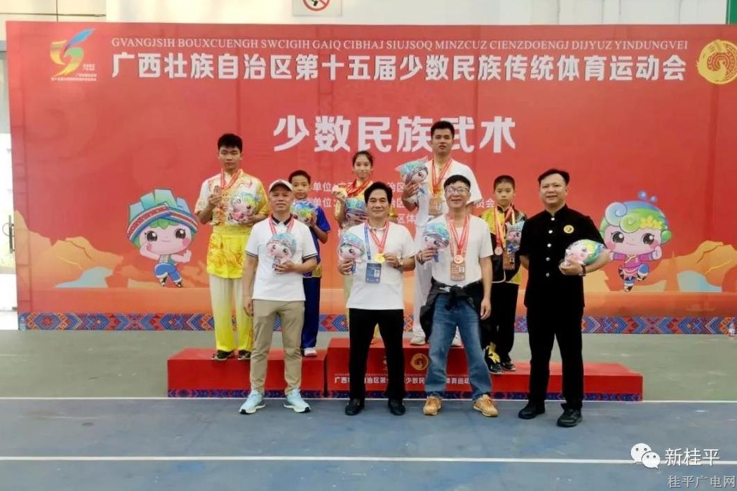 点赞！我市武术队在广西壮族自治区第十五届少数民族传统体育运动会中获佳绩
