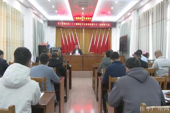 学习贯彻党的二十大精神桂平市宣讲团报告会（油麻镇专场）开讲