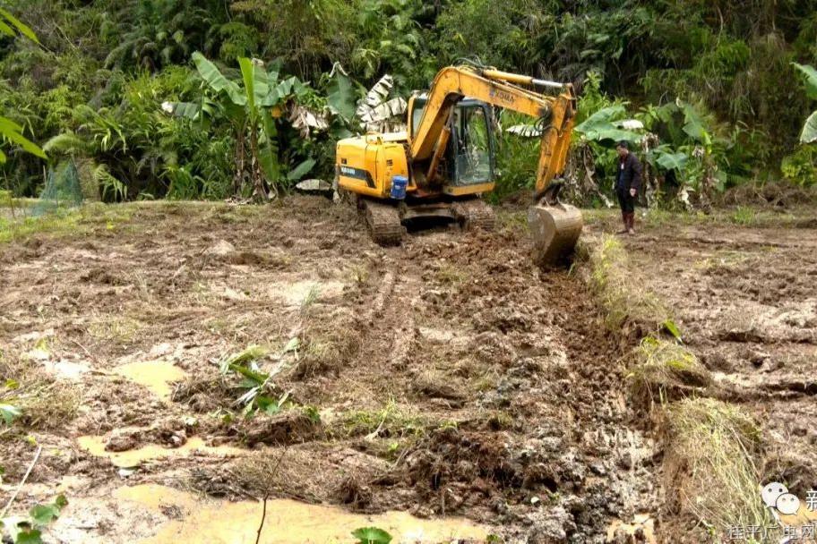 油麻镇：扎实推进撂荒地整治 盘活土地 助力乡村振兴