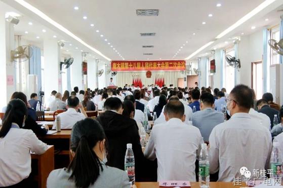 桂平市组织开展乡镇人大会议观摩活动