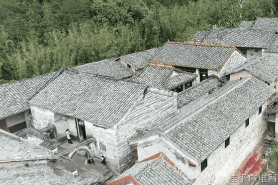 桂平罗秀：百年古建 文化植棠