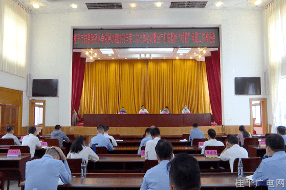 桂平市召开市扫黑除恶领导小组2022年第二次全体会议暨全市打击整治“村霸”问题工作推进会