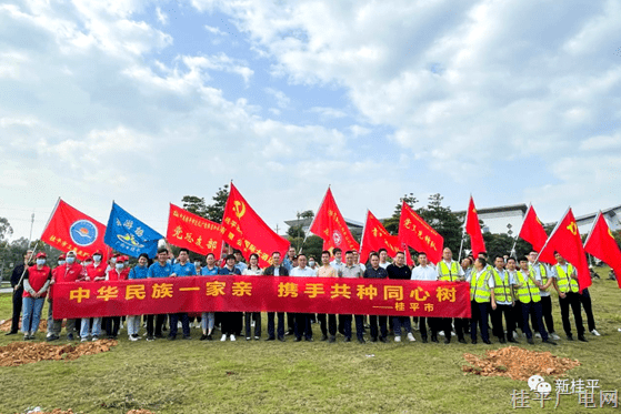 桂平市各单位联合开展“中华民族一家亲 携手共种同心树 ”主题植树活动