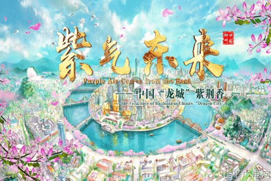 【新时代的答卷 ——习近平总书记“4·27”视察广西一周年网络视听节目展播】《紫气东来——中国“龙城”紫荆香》