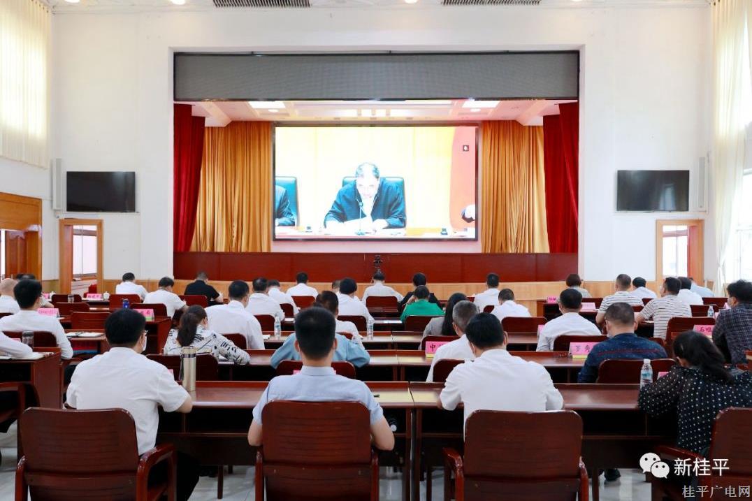桂平市组织参加全国新冠肺炎疫情防控工作电视电话会议
