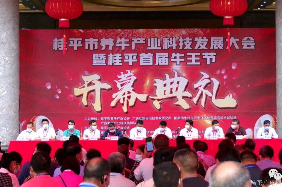 桂平市举办2022年养牛产业科技发展大会暨首届“牛王节”活动