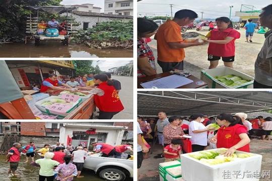 守望相助保家园 勠力同心战灾情——石龙镇：让党旗在防汛救灾一线高高飘扬