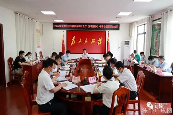 黄创优主持召开2022年中共桂平市委员会农村工作（乡村振兴）领导小组第三次会议