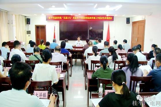 桂平市召开基层党建“五基三化”攻坚年行动部署暨基层党建工作重点任务推进会