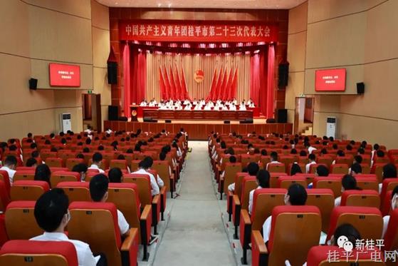 共青团桂平市第二十三次代表大会召开