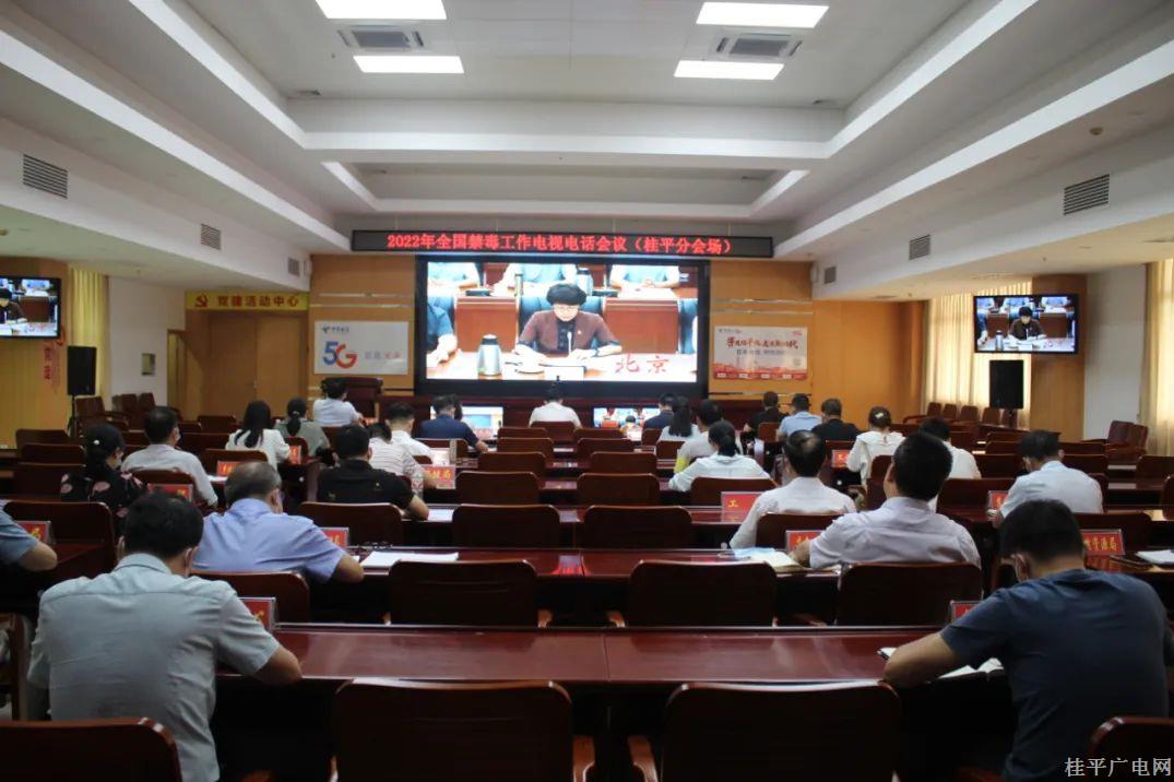 桂平市组织收看收听全国禁毒工作电视电话会议