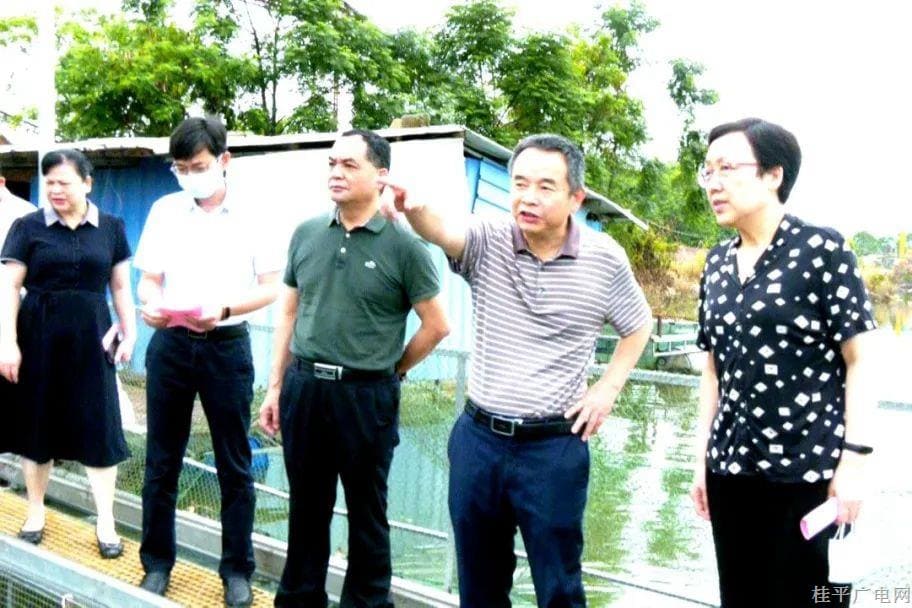 中国水产学会“科创中国”水产养殖科技服务团到我市考察调研