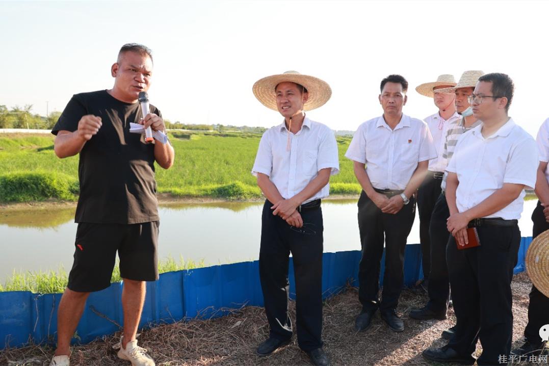 桂平市召开稻虾平养模式推进会