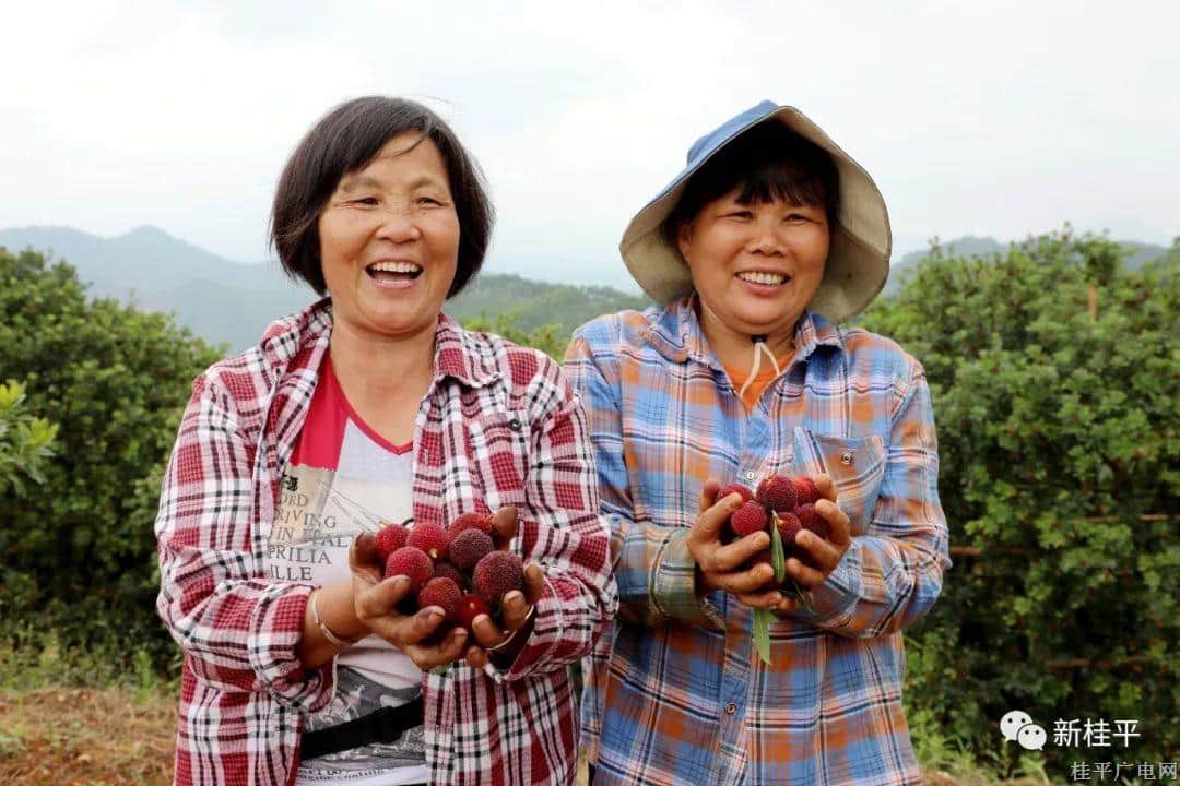中国农民丰收节丨桂平：丰收的喜悦