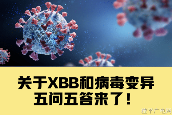 关于XBB和病毒变异，你关心的5个问题有了解答！