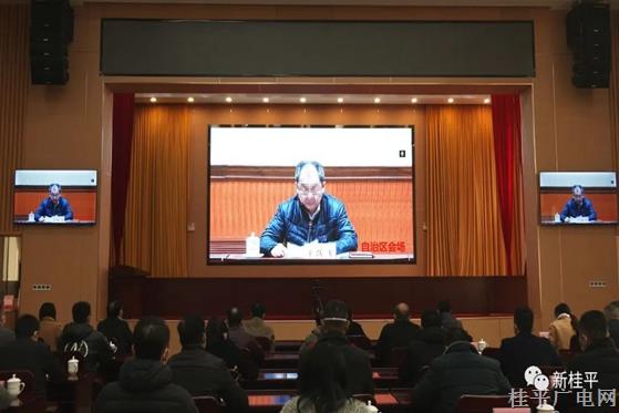 桂平市组织收听收看进一步加强全区人大组织建设和队伍建设文件精神工作会