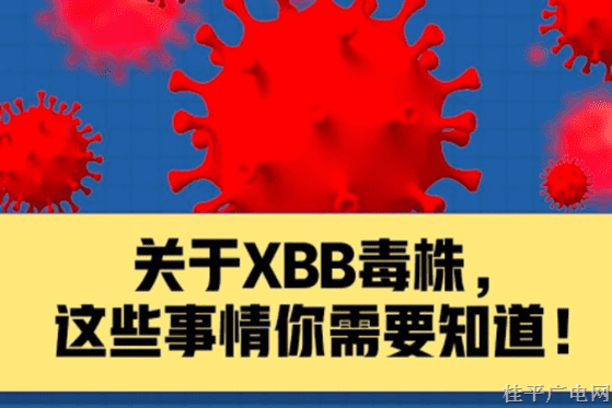 关于XBB毒株，这些事情你需要知道！