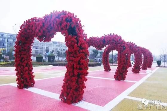 佳节将至·桂平市首届艺术花展布展工作进入尾声
