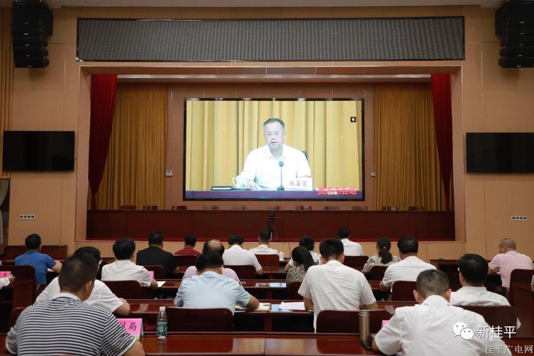 桂平市组织收听收看贵港市学思想拼经济稳增长惠民生“六个攻坚行动”工作推进电视电话会