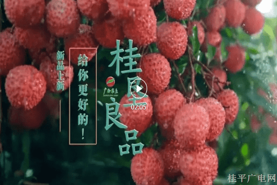 最佳人气6.《桂垦良品 食安天下 荔枝篇》