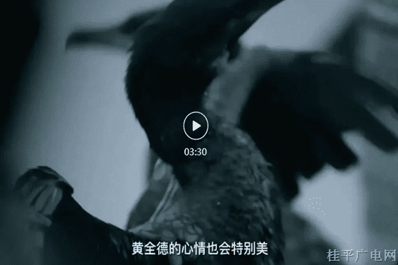 43.《兴坪网红黄全德：你若夸赞漓江美 我的心里跟着