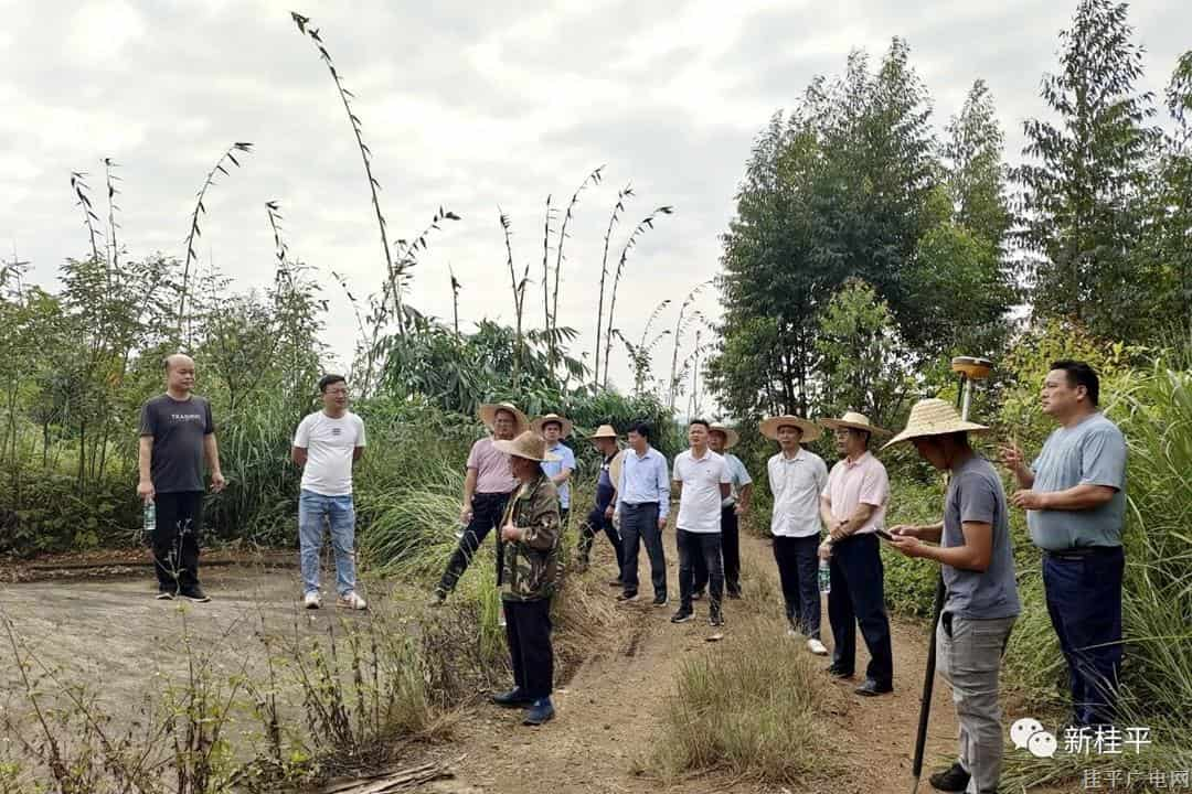 【争创“模范机关”晒晒看（第三季）】市征收中心：党建引领征地拆迁 为项目建设提供保障