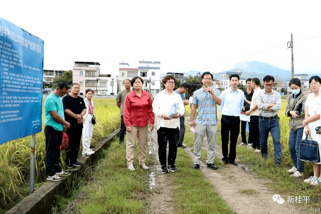 我市组织开展2023年粮食高产攻关现场培训观摩会