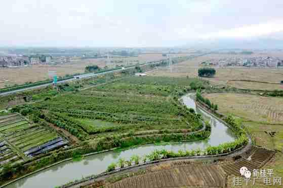 桂平市石龙镇：立体生态种养实现绿色效益双赢