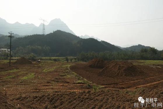 紫荆镇土地综合整治项目开工建设 660余亩旱地提质改造为水田