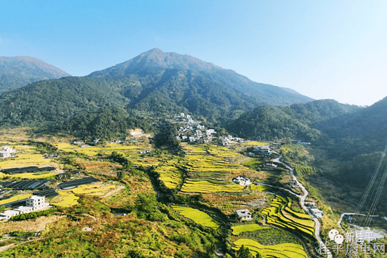 生态旅游促发展 佛荔村的美丽蜕变