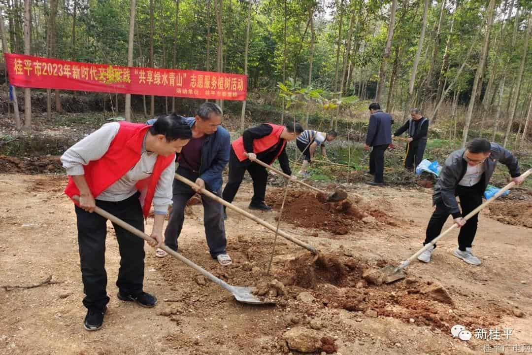 【作风提升】桂平市委党校着力提升干部作风推动工作提质增效