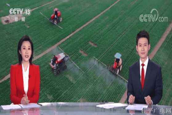 今天，央视两个频道三个栏目播出《广西桂平：现代科技助力60万亩早稻育秧工作》