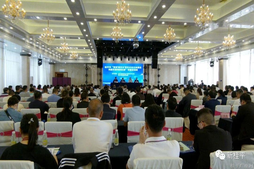 桂平市召开“贯彻'新安法'落实企业主体责任构建双重预防机制”专题培训班