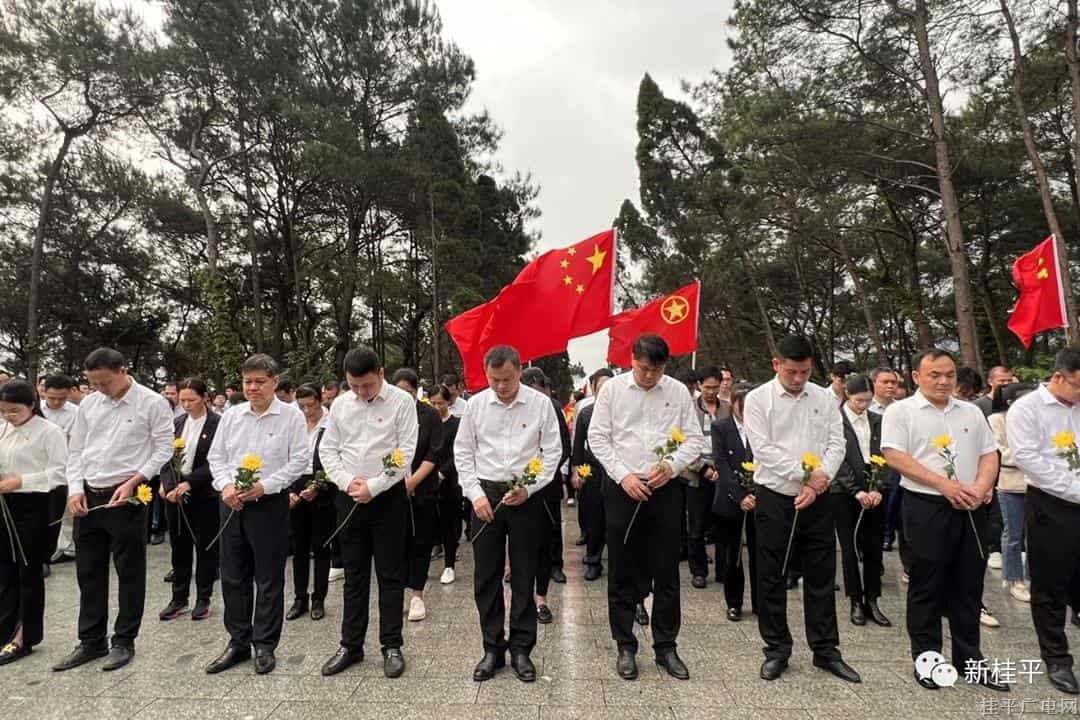 【网络中国节·清明】西山镇开展祭扫革命烈士纪念碑活动