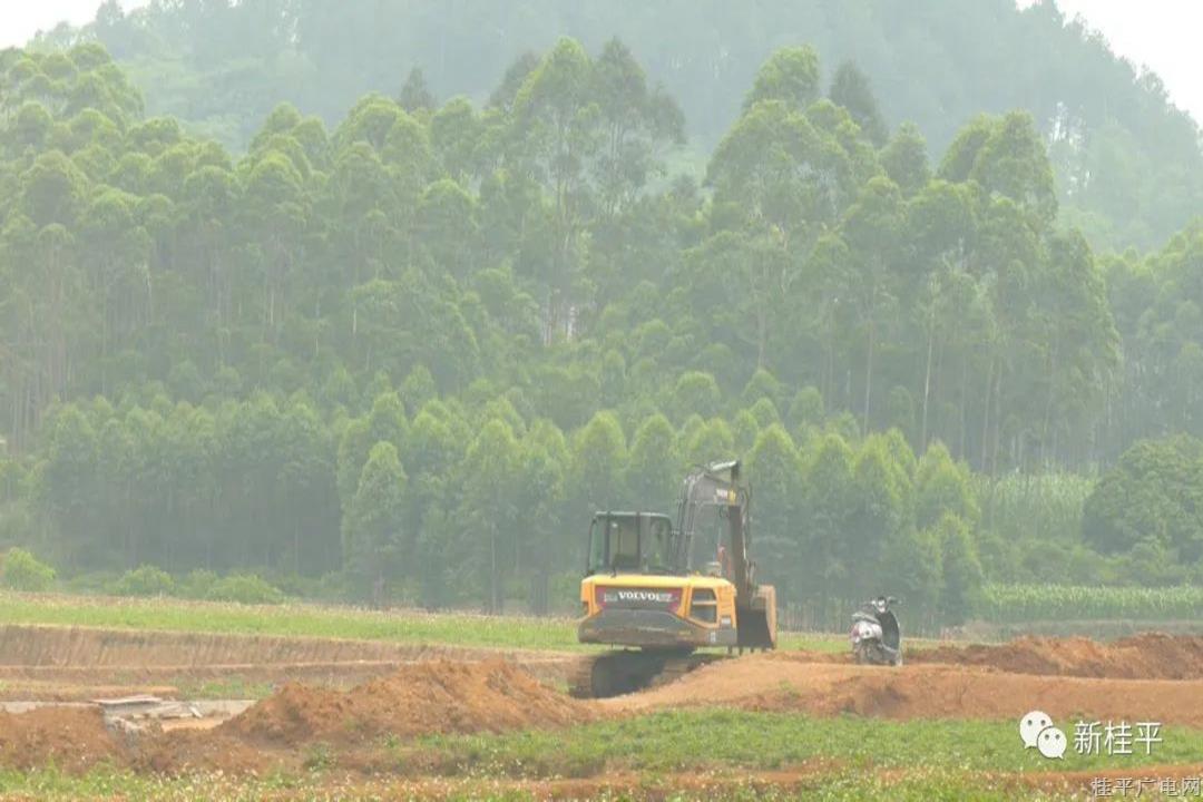 桂平城投：抢抓工期 加快推进土地综合整治项目