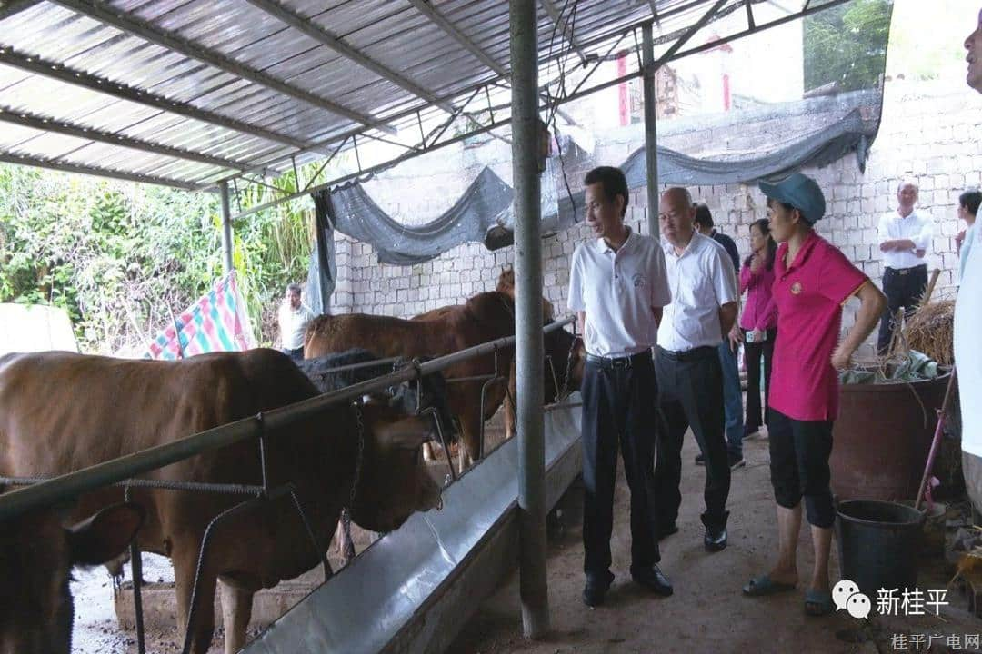 贵港市人大调研组到我市调研关于《贵港市畜禽养殖污染防治条例（草案）》修改稿意见