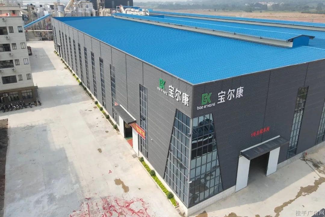 广西宝尔康新型材料有限公司OSB生产线首板下线
