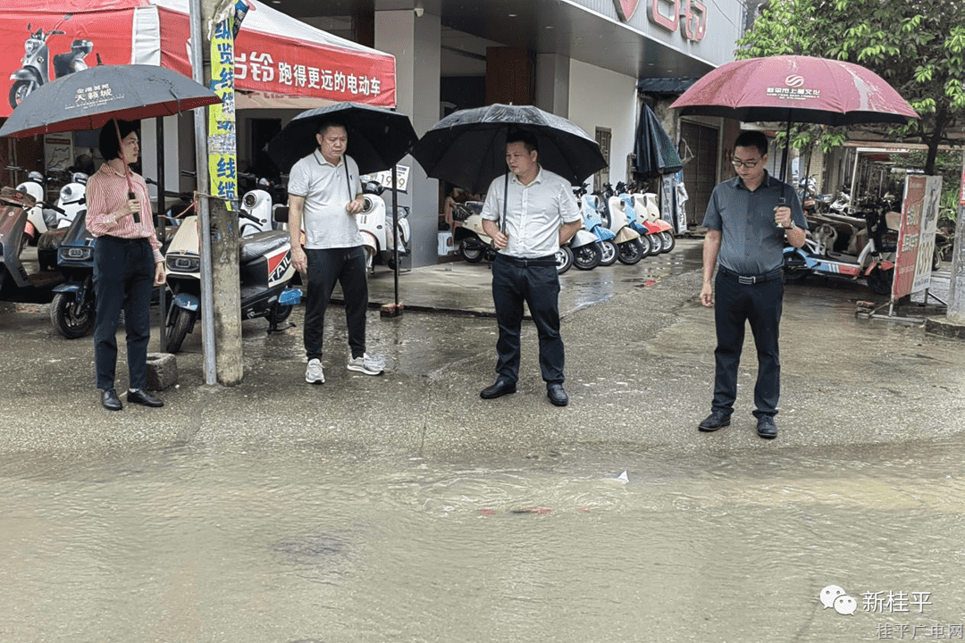 蒙圩镇：未雨绸缪 筑牢防汛“安全堤”