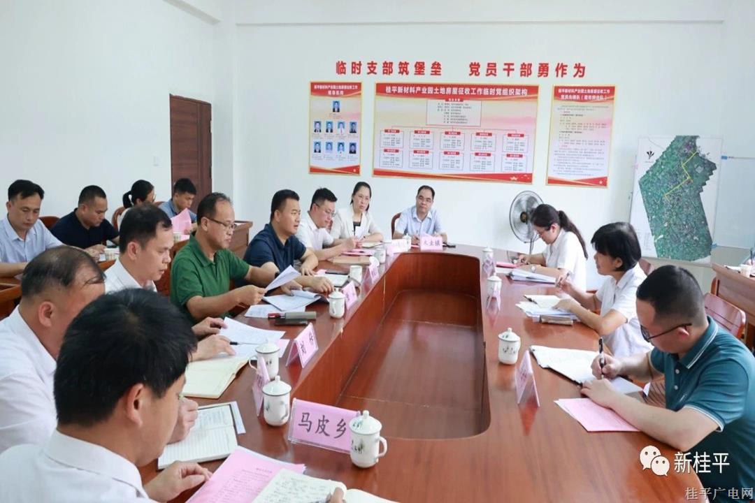 自治区应急厅指导组到桂平市开展安全生产指导服务工作