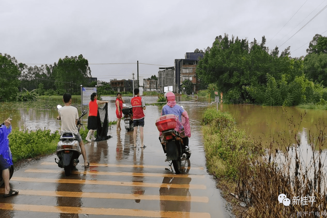 木圭镇多措并举 筑牢防汛“安全堤”