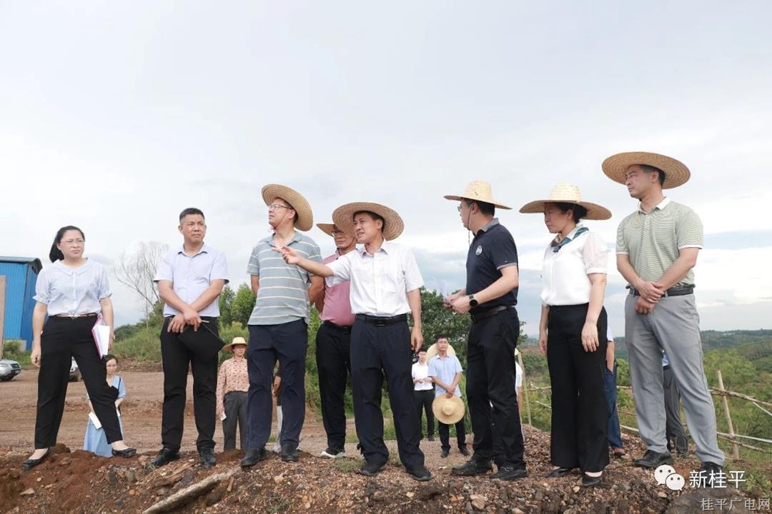 黄创优到桂平新材料产业园调研项目建设